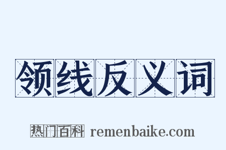 领线反义词是什么意思的图片